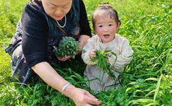 亚洲精品一区无码A片